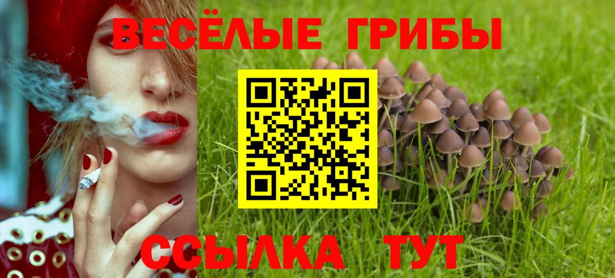 Псилоцибиновые грибы Psilocybine cubensis Валуйки